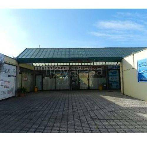 negozio in vendita a Piombino