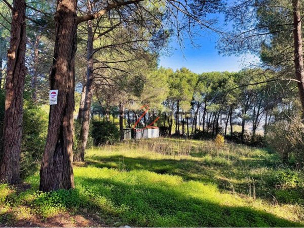 terreno agricolo in vendita a Piombino in zona Baratti