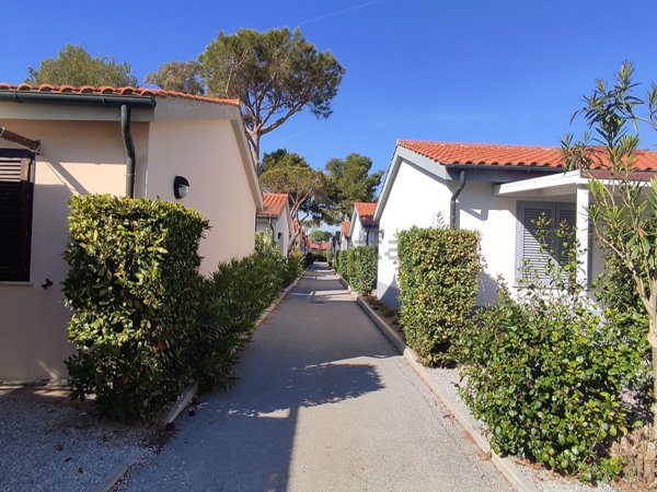 appartamento in vendita a Piombino