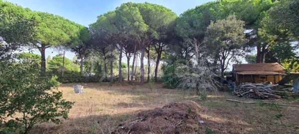terreno agricolo in vendita a Piombino in zona Baratti