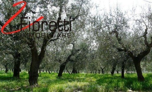 appartamento in vendita a Piombino