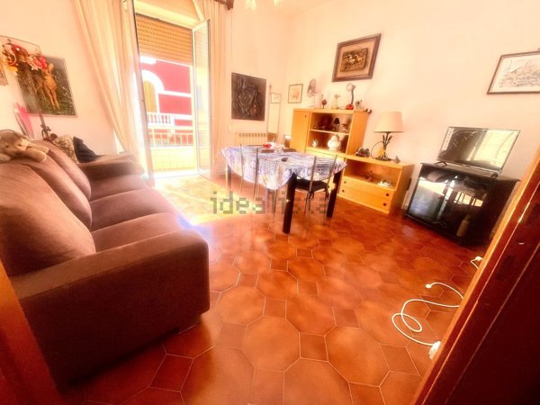 appartamento in vendita a Piombino