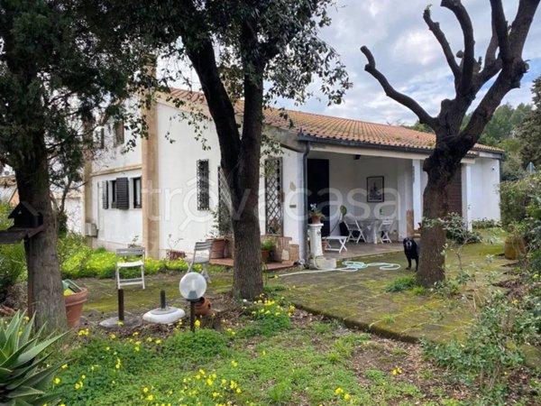 casa indipendente in vendita a Piombino