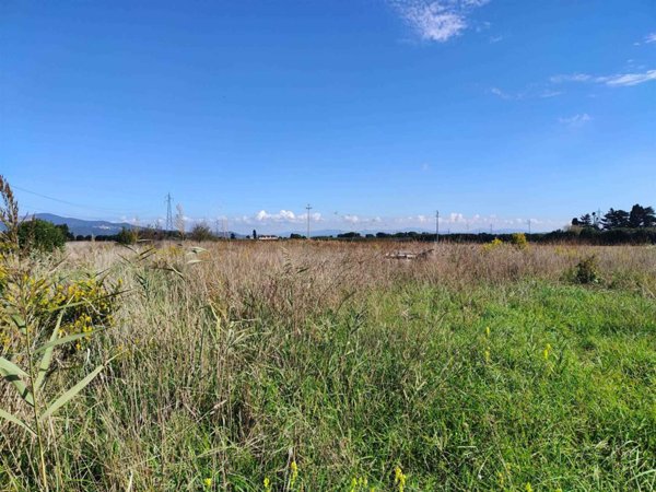 terreno agricolo in vendita a Piombino