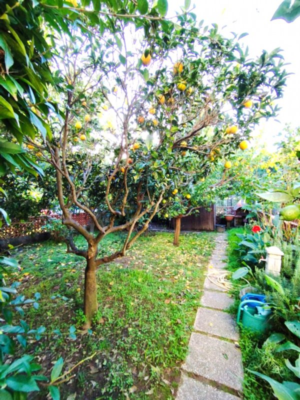 casa indipendente in vendita a Piombino in zona Baratti