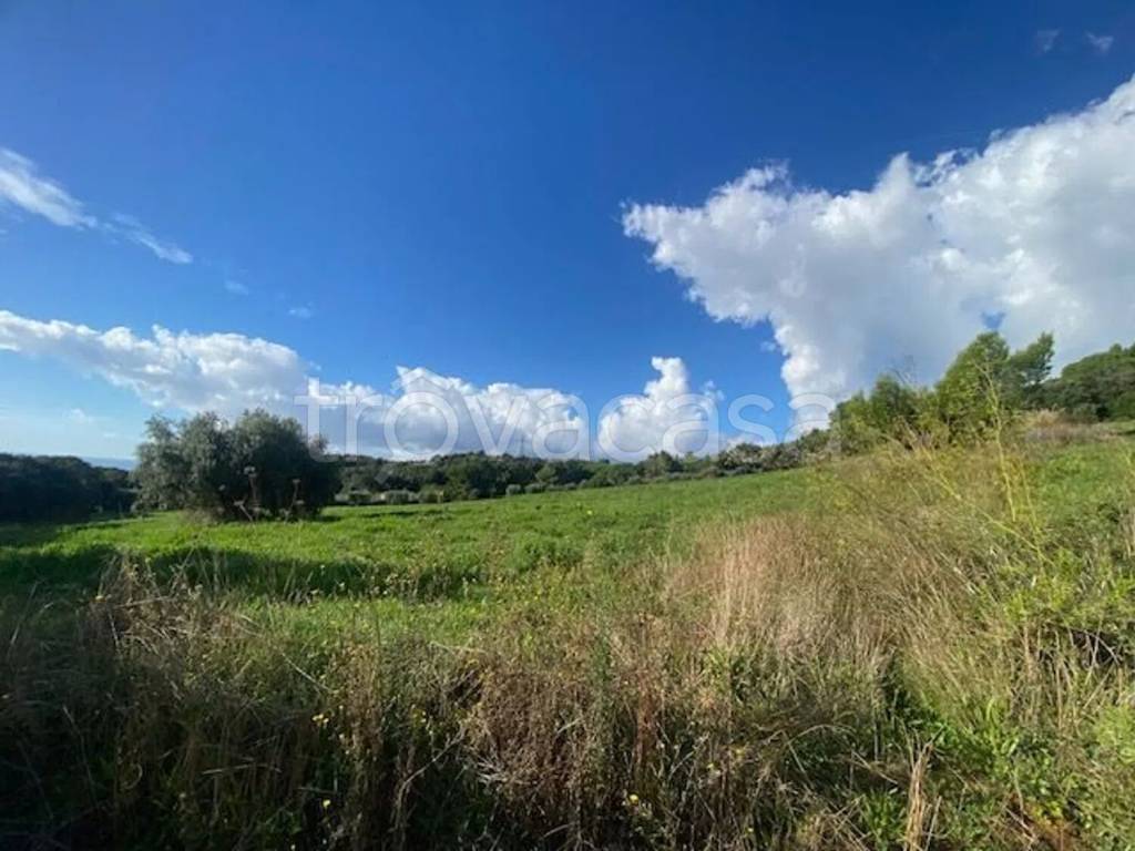 terreno agricolo in vendita a Piombino