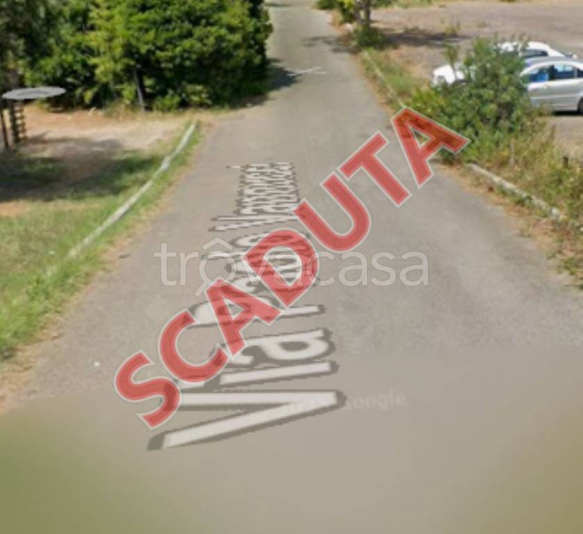 negozio in vendita a Piombino