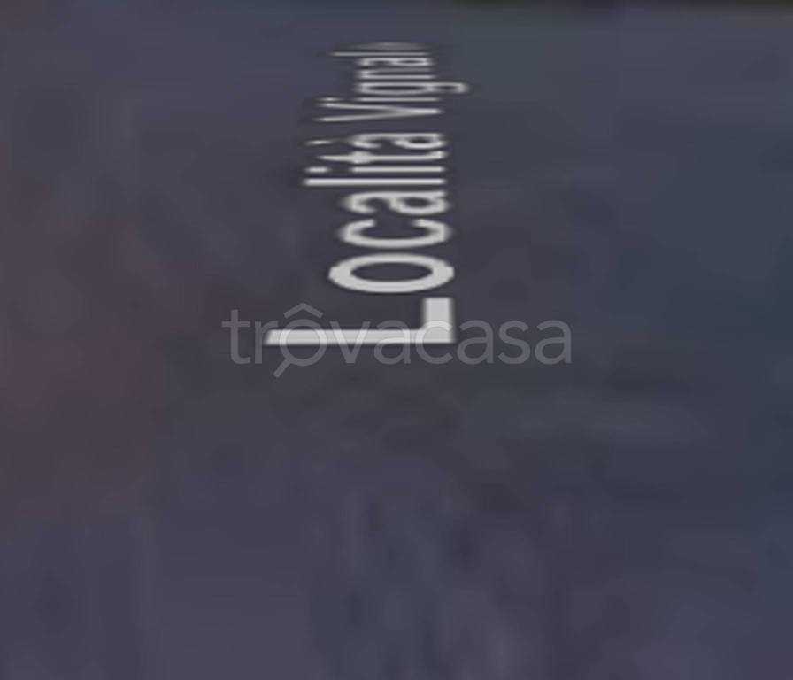 terreno agricolo in vendita a Piombino