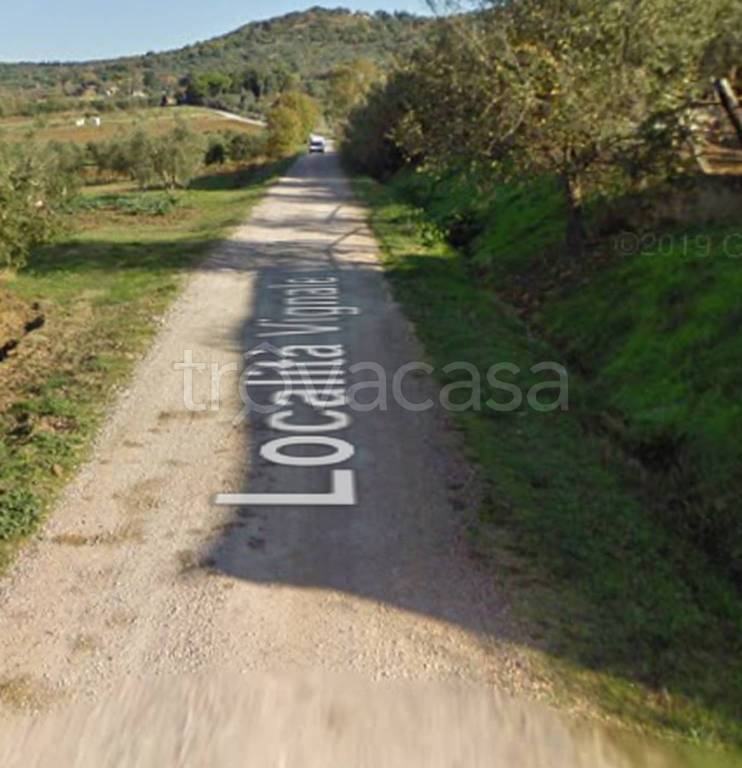 terreno agricolo in vendita a Piombino