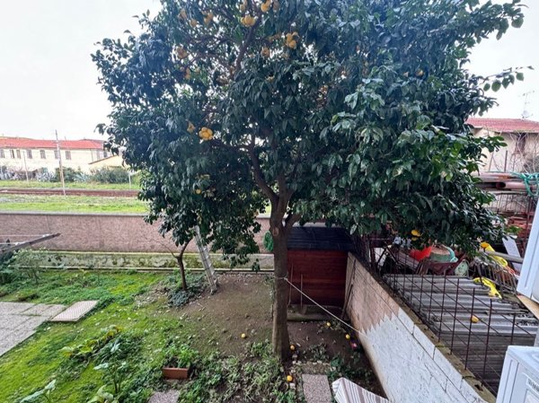 appartamento in vendita a Piombino