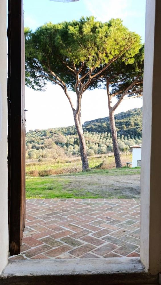 casa indipendente in vendita a Piombino