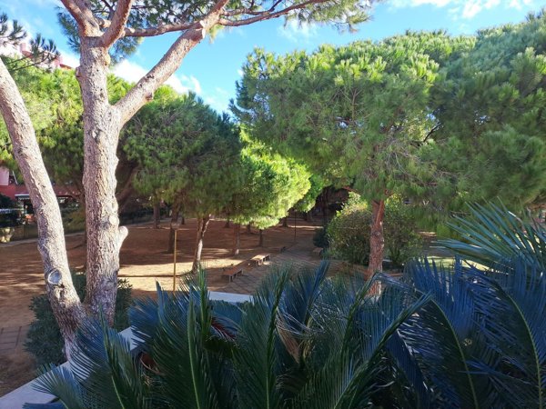 appartamento in vendita a Piombino