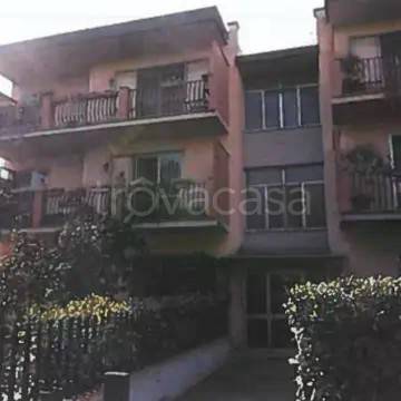 appartamento in vendita a Piombino