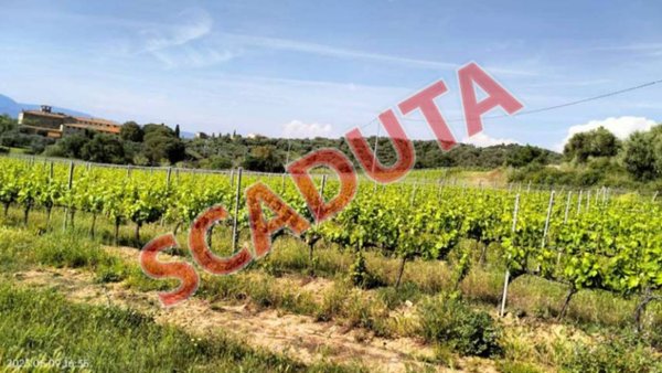 terreno agricolo in vendita a Piombino