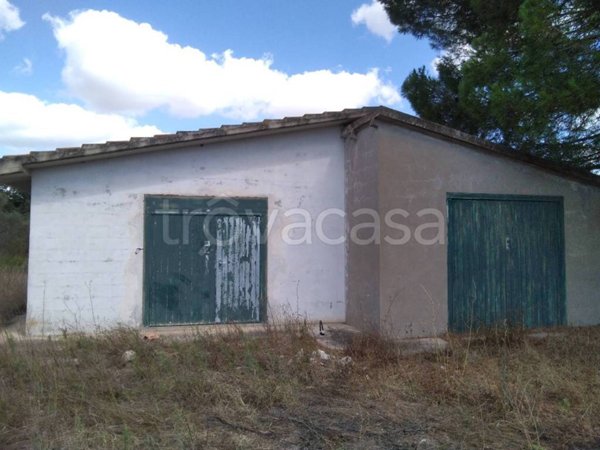 terreno agricolo in vendita a Piombino