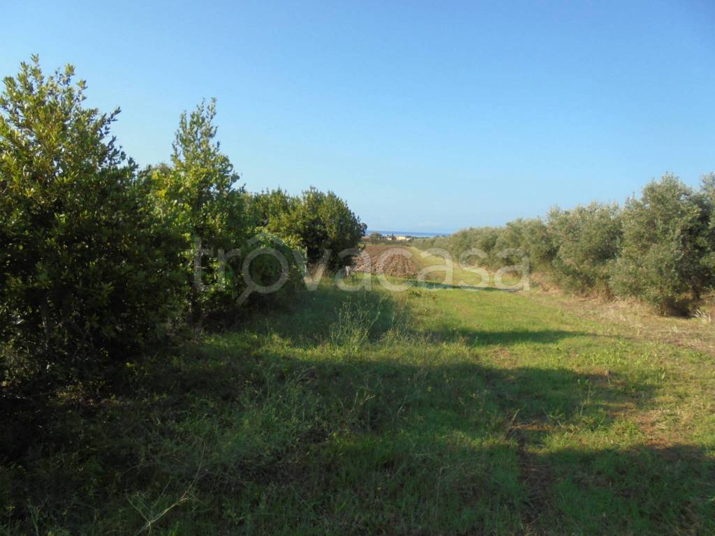 casa indipendente in vendita a Piombino