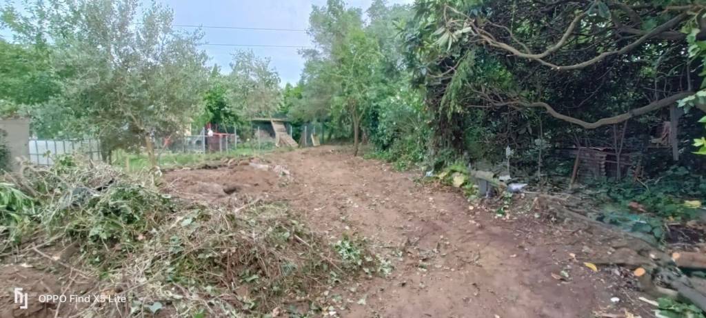 terreno agricolo in vendita a Piombino in zona Baratti