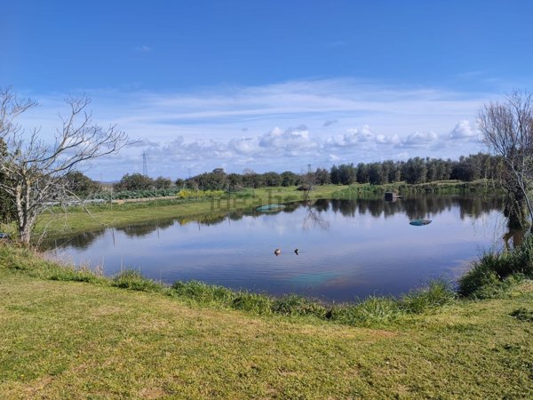 terreno agricolo in vendita a Piombino in zona Baratti