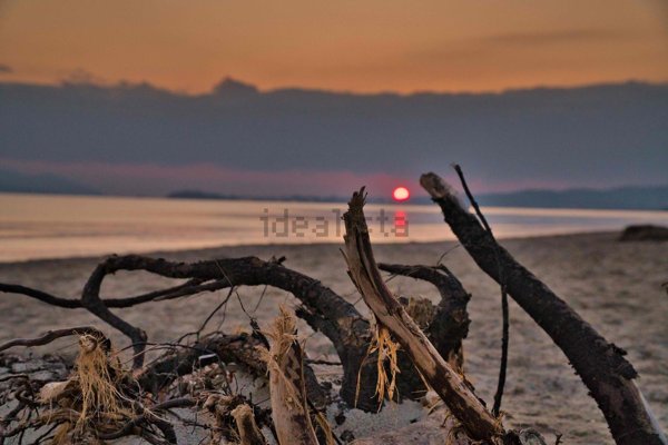 appartamento in vendita a Piombino