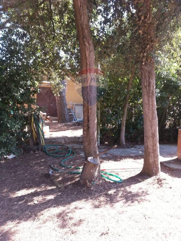 appartamento in vendita a Piombino in zona Baratti