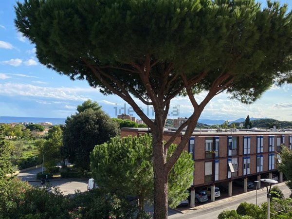 appartamento in vendita a Piombino
