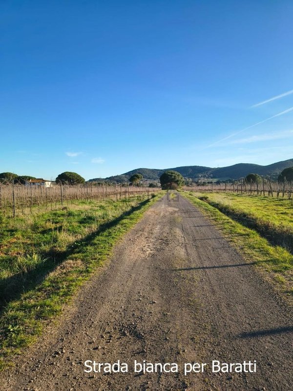 terreno agricolo in vendita a Piombino in zona Baratti