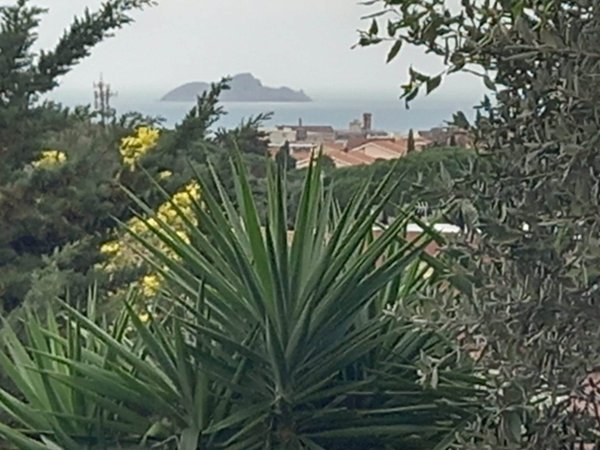 appartamento in vendita a Piombino