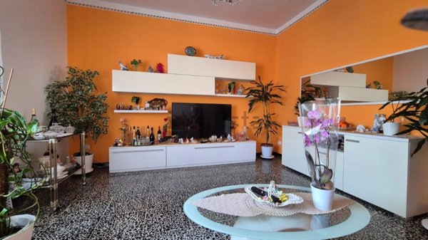 appartamento in vendita a Piombino