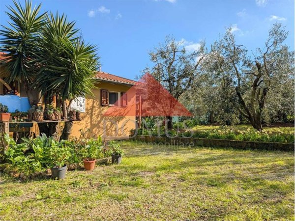 terreno agricolo in vendita a Piombino