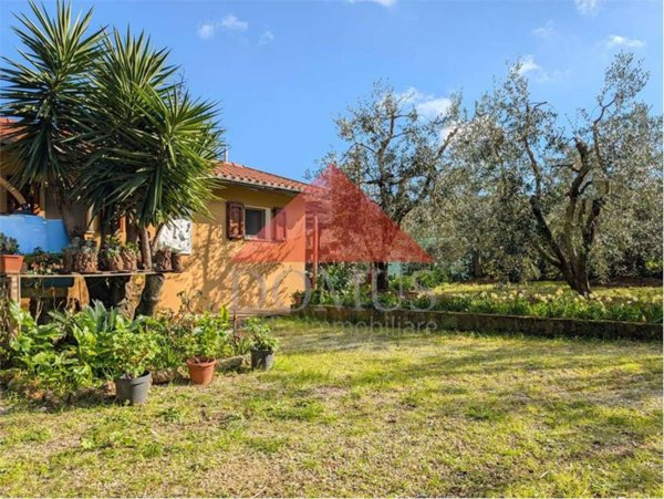 terreno agricolo in vendita a Piombino