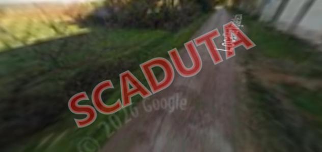 terreno agricolo in vendita a Piombino