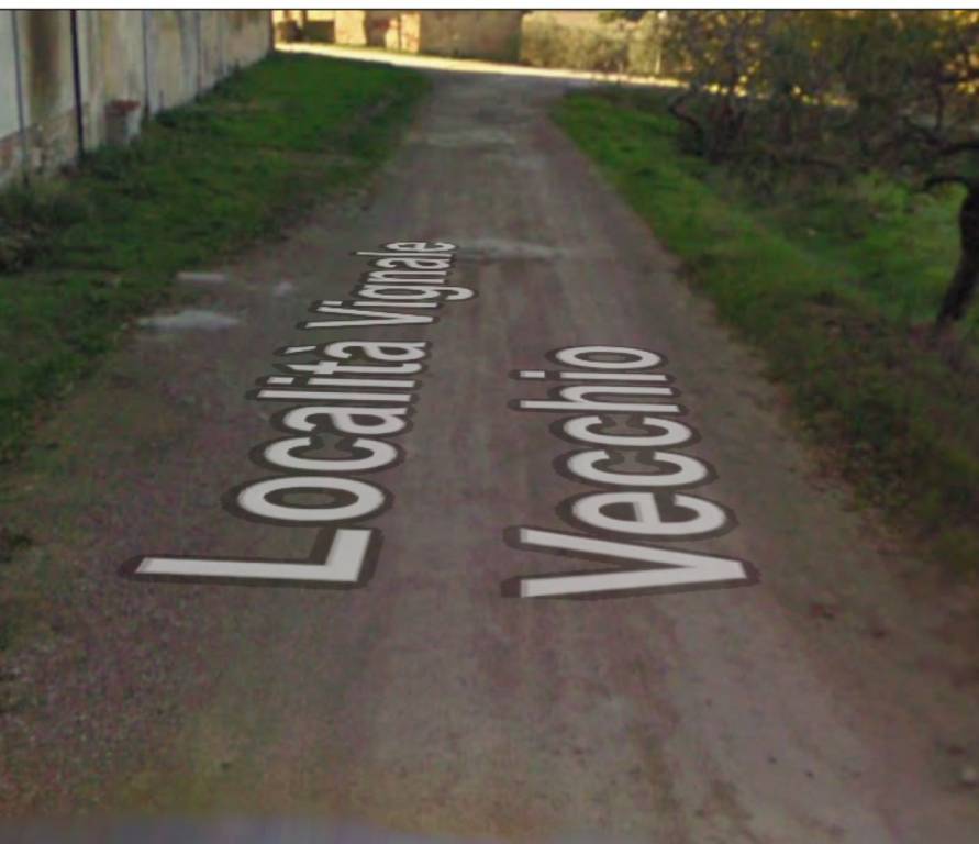 terreno agricolo in vendita a Piombino