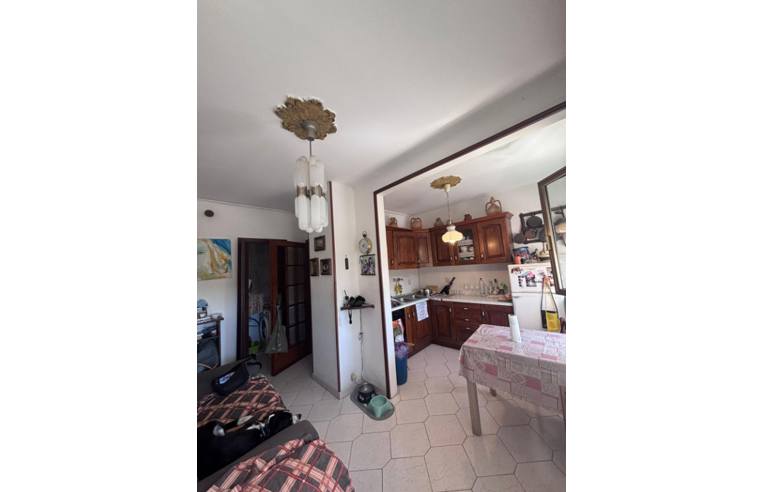 appartamento in vendita a Piombino