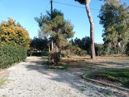 appartamento in vendita a Piombino