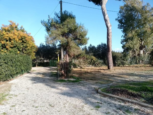 appartamento in vendita a Piombino