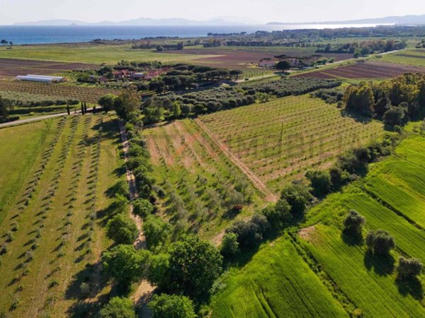 terreno agricolo in vendita a Piombino