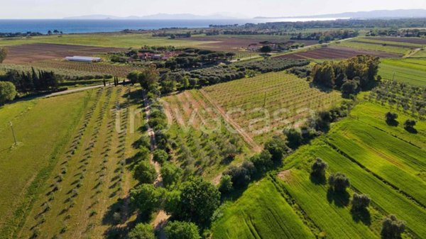 terreno agricolo in vendita a Piombino