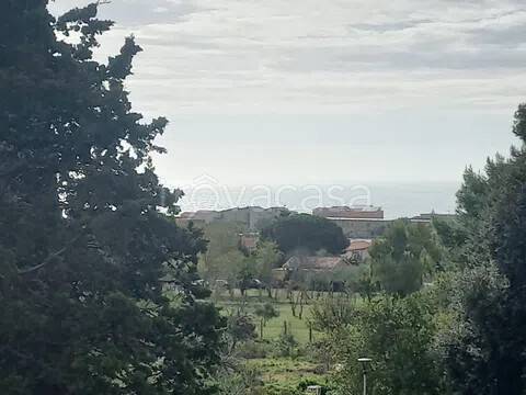 appartamento in vendita a Piombino