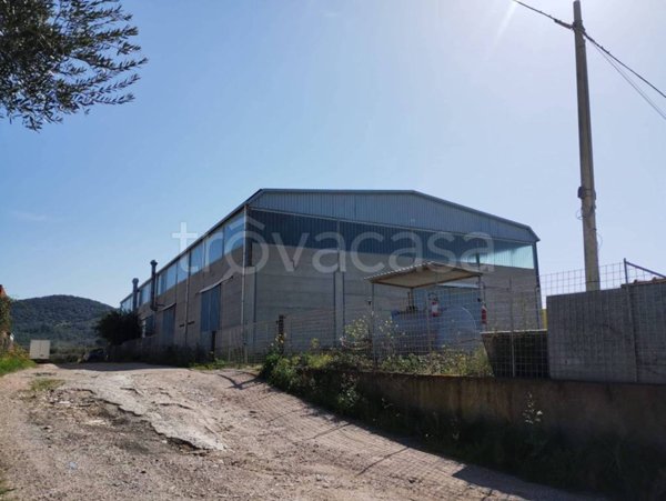 locale commerciale in vendita a Piombino