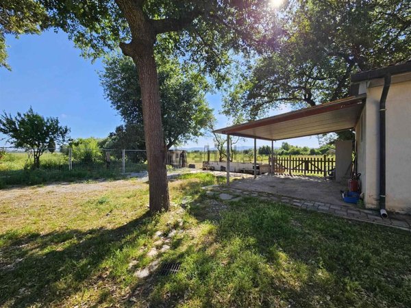 appartamento in vendita a Piombino