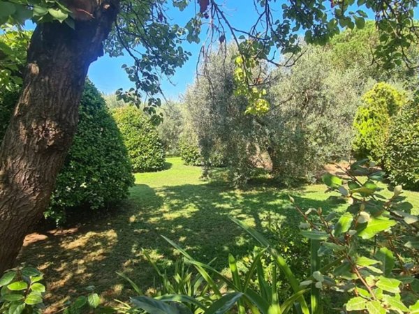 terreno agricolo in vendita a Piombino in zona Fiorentina