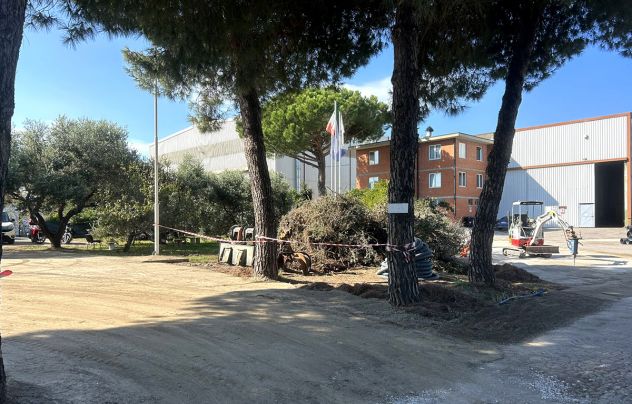 terreno agricolo in vendita a Piombino