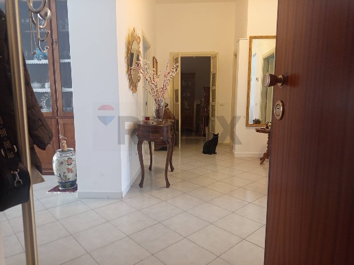 appartamento in vendita a Piombino
