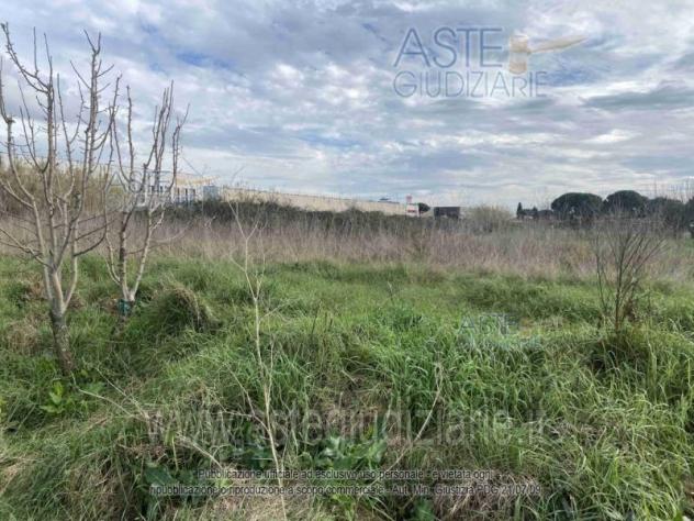 terreno agricolo in vendita a Piombino
