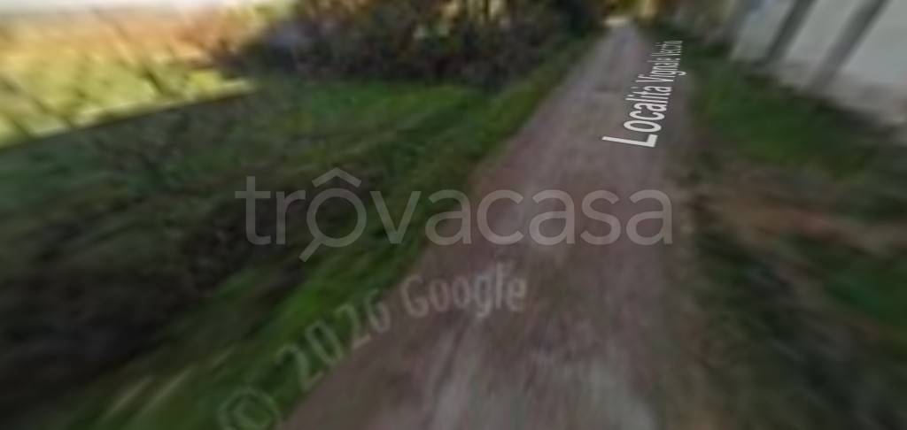 terreno agricolo in vendita a Piombino