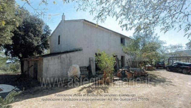terreno agricolo in vendita a Piombino