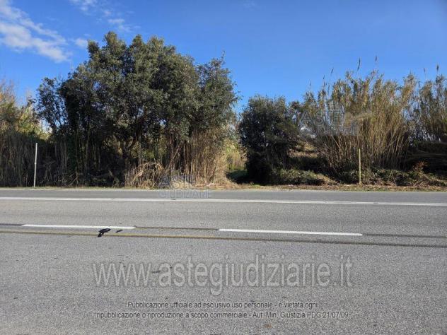 terreno agricolo in vendita a Piombino