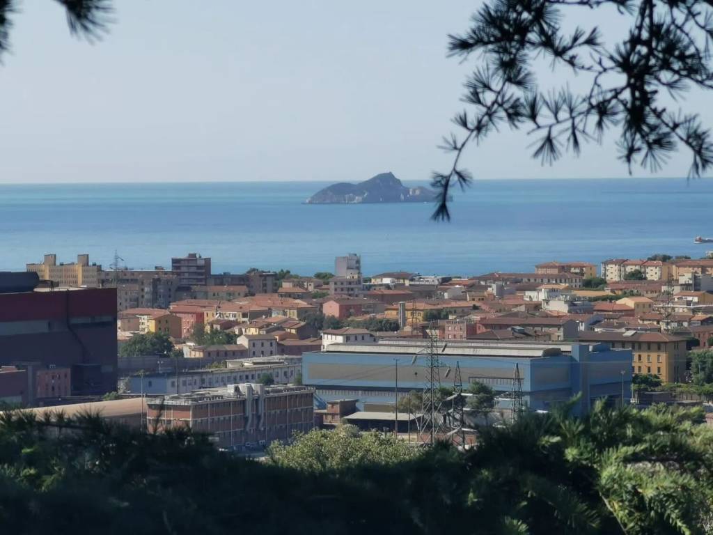 appartamento in vendita a Piombino