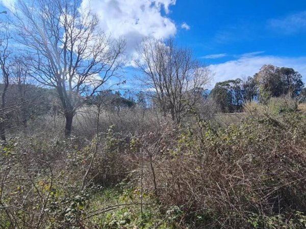 terreno agricolo in vendita a Piombino in zona Baratti