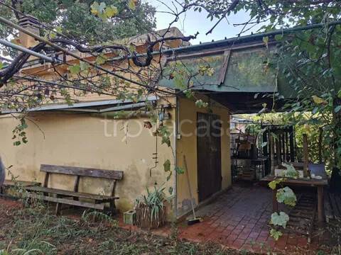 terreno agricolo in vendita a Piombino in zona Fiorentina
